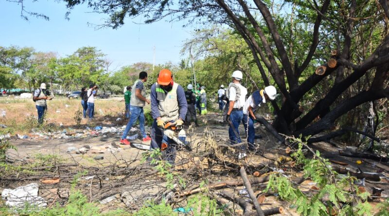 EPA Cartagena avanza en la recuperación ambiental de zona degradada en Chambacú