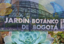 Relájate este 18 de mayo en el Jardín Botánico con terapia natural y más