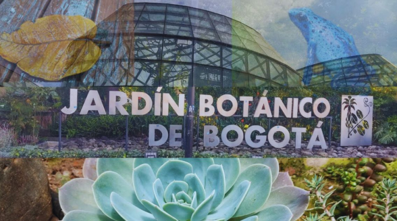 Relájate este 18 de mayo en el Jardín Botánico con terapia natural y más